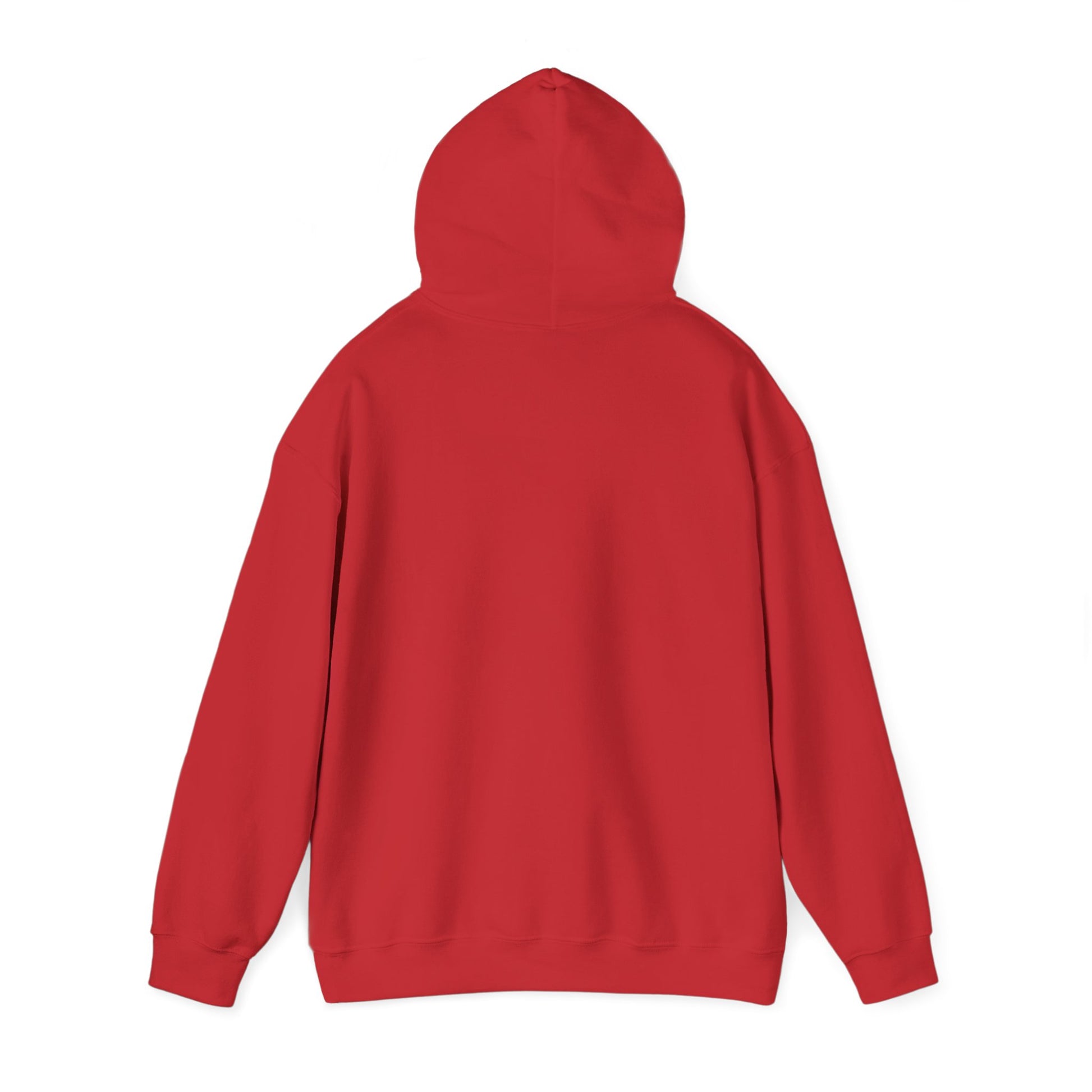 Mallard Hoodie | Three Brothers x Derek Stevenson Exclusive