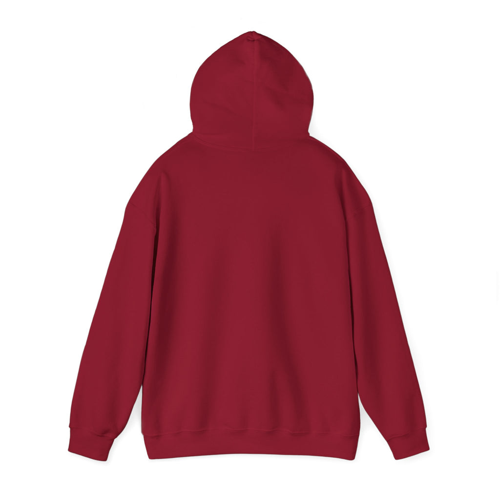 Three Brothers Fishing Co Classic Hoodie