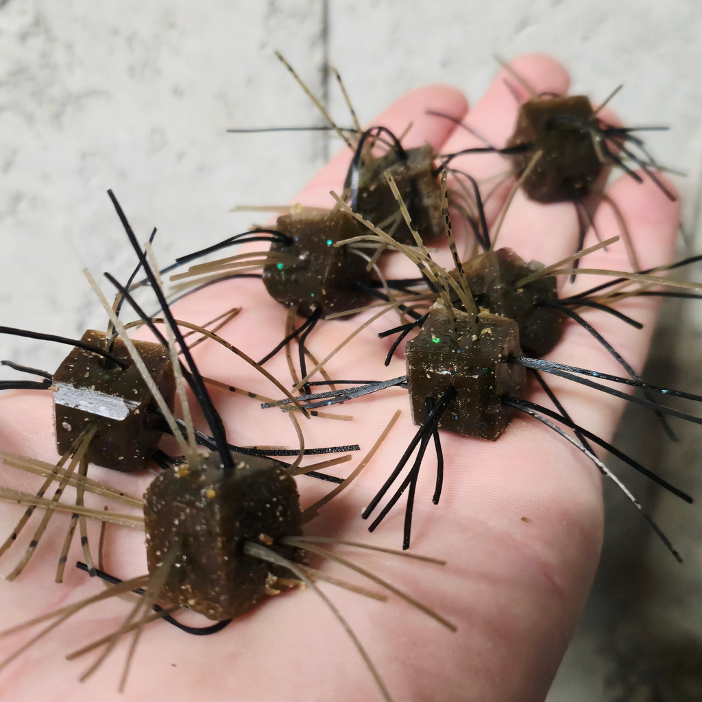 FringeCube 6pk