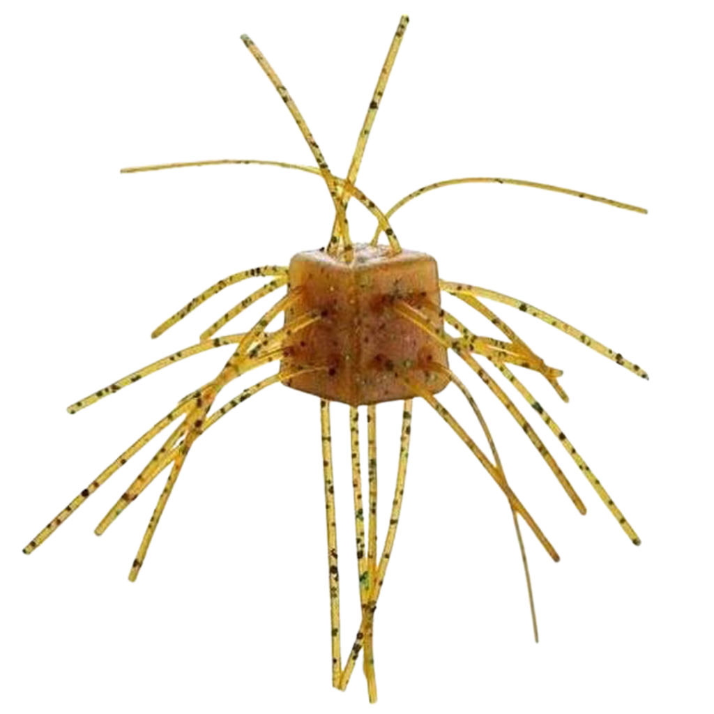 FringeCube 6pk