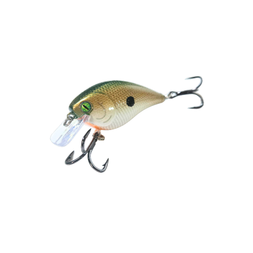 Tennessee Shad