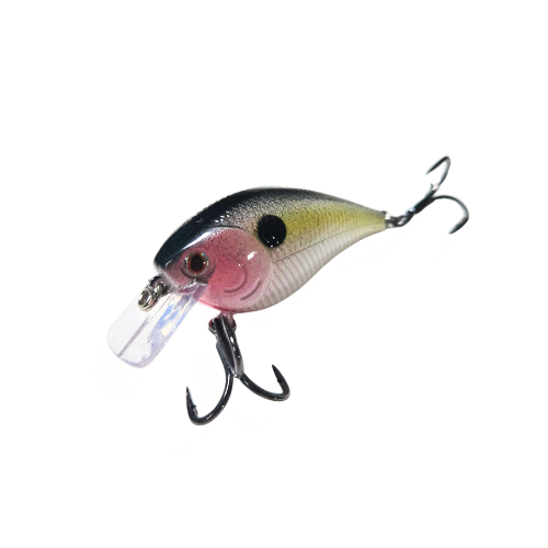 Red Eye Shad